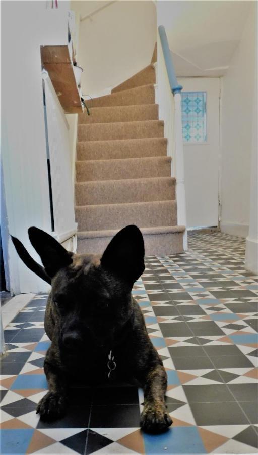 The Bear Bread Bakery B&B, Ensuite Rooms Above The Bakery, Colyton Dış mekan fotoğraf